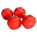 Body Fitness Vinyl Coated 5kg Dumbbell Set à vendre